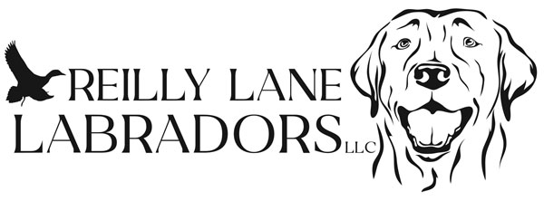 Reilly Lane Labradors Logo